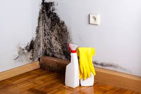 Best Forensic Mold Investigation  in Eastlake, OH